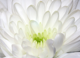 Similar image 5921403