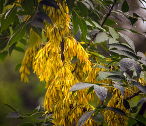 Similar image 5921438