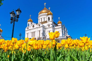 Similar image 5921467