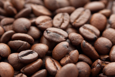 Similar image 5921472