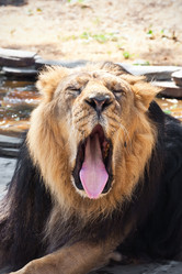 Similar image 5921512