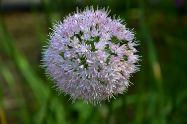 Similar image 5921651