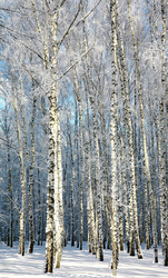 Similar image 5921655