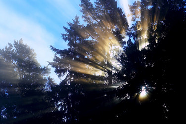 Similar image 5921668