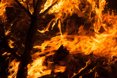 Similar image 5921673