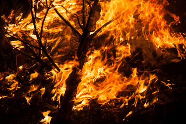 Similar image 5921674