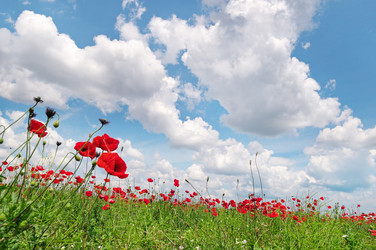 Similar image 5921689