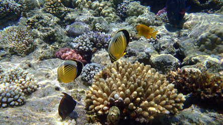 Similar image 5921710