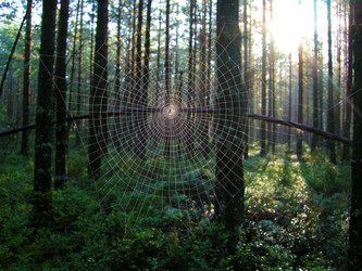 Similar image 5921745