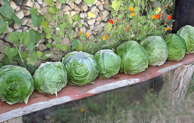 Similar image 5921758