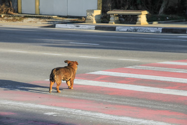 Similar image 5921763