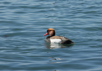 Similar image 5921776