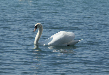 Similar image 5921777