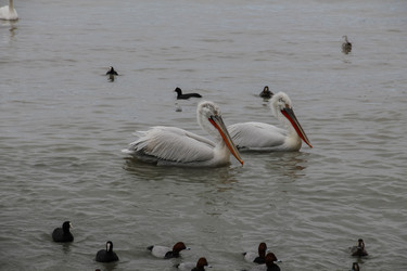 Similar image 5921778