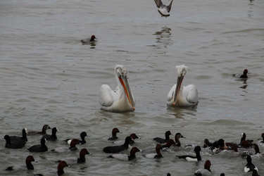 Similar image 5921779