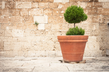 Similar image 5921900