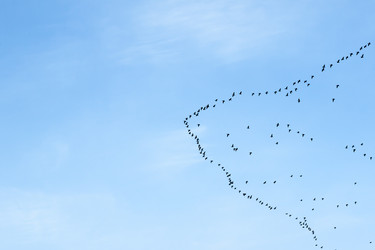 Similar image 5921902