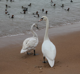 Similar image 5922300