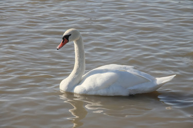 Similar image 5922458