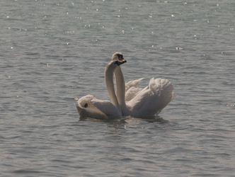 Similar image 5922837