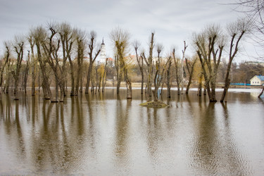 Similar image 5922845