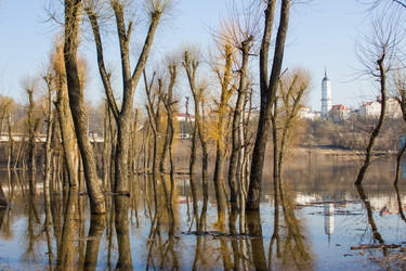 Similar image 5922852