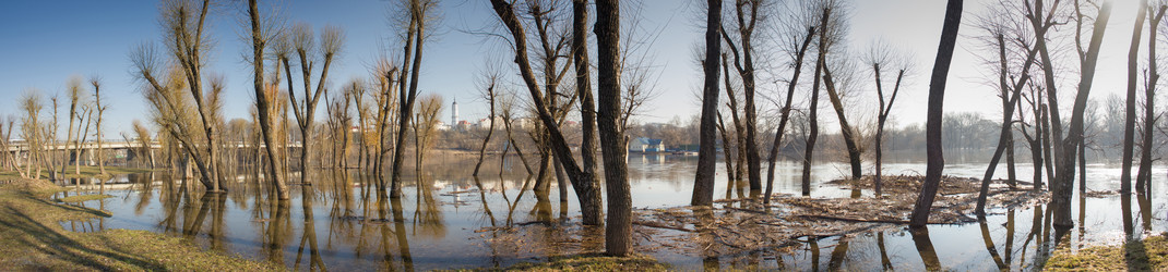 Similar image 5922853