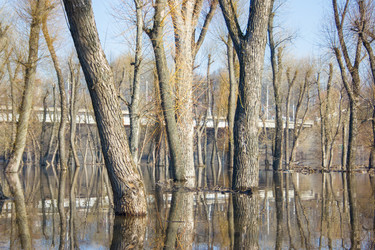 Similar image 5922855