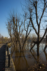 Similar image 5922860