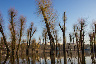 Similar image 5922870