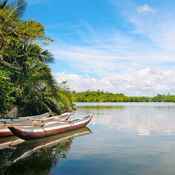 Similar image 5922982