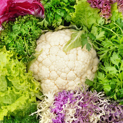 Similar image 5922983