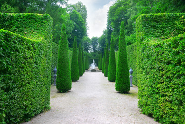 Similar image 5923005