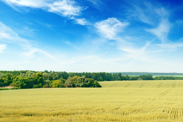 Similar image 5923009