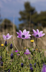 Similar image 5923025