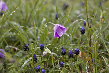 Similar image 5923026