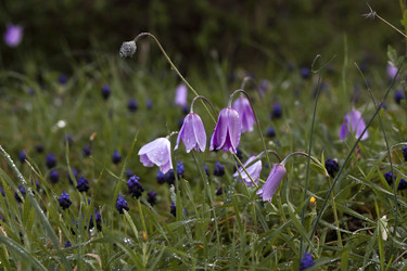 Similar image 5923027