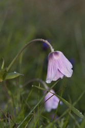 Similar image 5923028