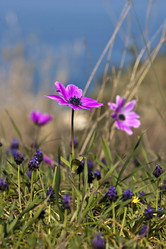 Similar image 5923029