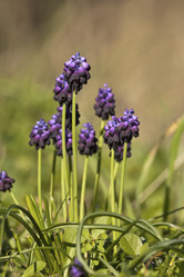 Similar image 5923030