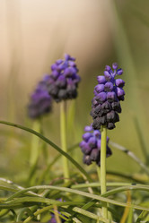 Similar image 5923031