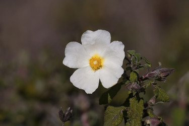 Similar image 5923032