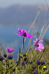 Similar image 5923033