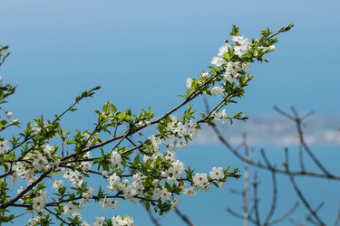 Similar image 5923053