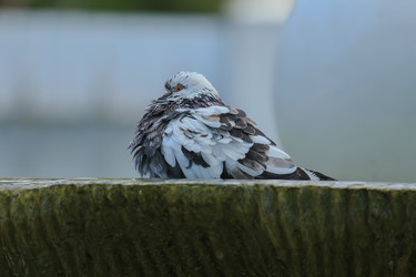 Similar image 5923063