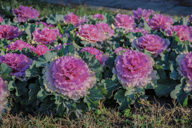 Similar image 5923066