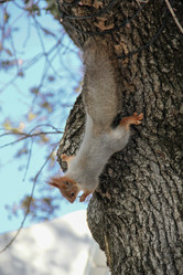 Similar image 5923067