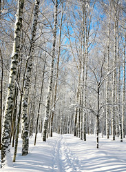 Similar image 5923074