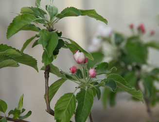 Similar image 5923130