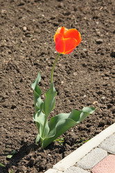 Similar image 5923132